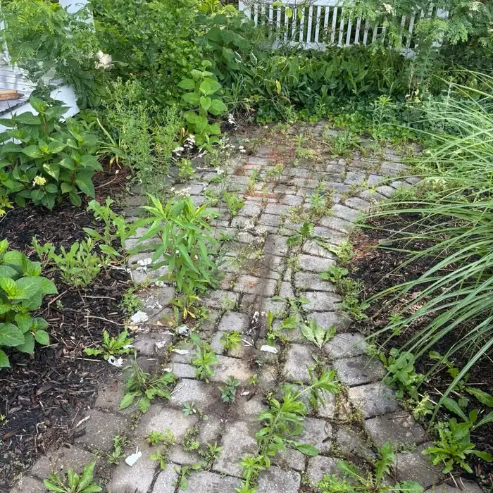 Garden path clear after BK Junk Co. removed the old railing