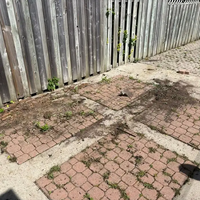 Same patio and fence line after BK Junk Co. hauled the debris away